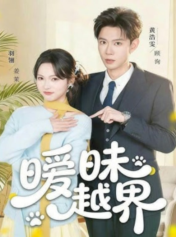 爱丫爱丫影院冷门高分电影海报
